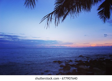 beach , sunset , palms.