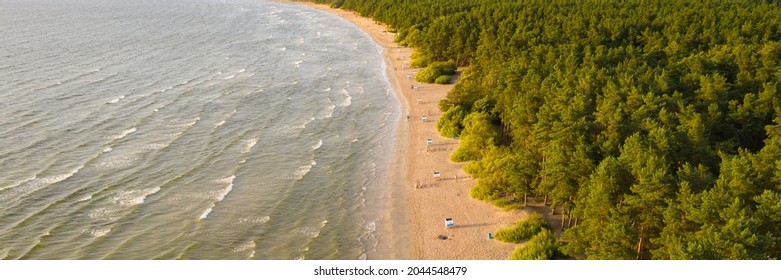 Beach at sunset, pine forest