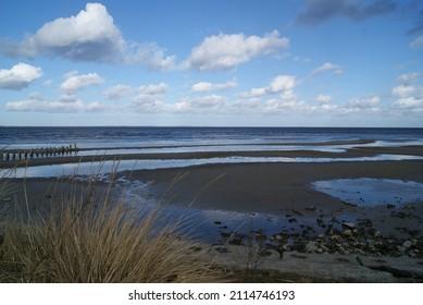 Beach At The Szczecin Lagoon