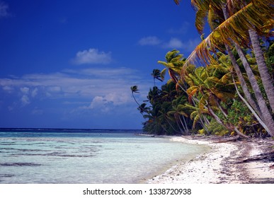 Beach Tetiaroa And Coconut