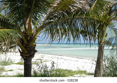 Beach Through The Palms, Freeport, Bahamas Islands