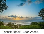 Beach through trees and palms at sunset. Scenic coast of Mediterranean sea, sandy beach in Netanya, Israel.