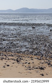 It Is A Beach With Tidal Flats.