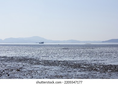 It Is A Beach With Tidal Flats.