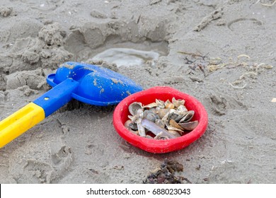 beach toys and shells on the beach - Powered by Shutterstock