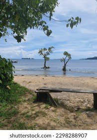 Beach with trees and bench