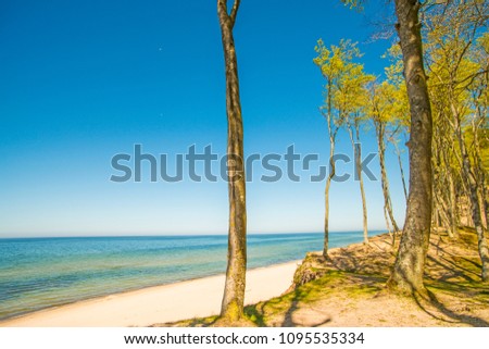 Similar – Foto Bild Ostseeküste in Polen