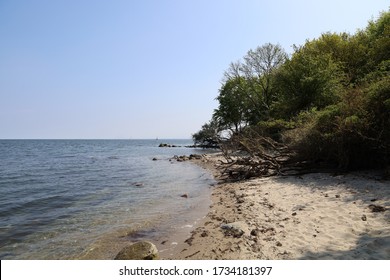 The beach at Trelde with trees right out to the water
