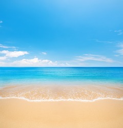 Muyuni Beach, Zanzibar Island, Tanzania | Nature Stock Photos ...