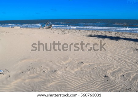 Similar – Foto Bild Ostseestrand in Polen