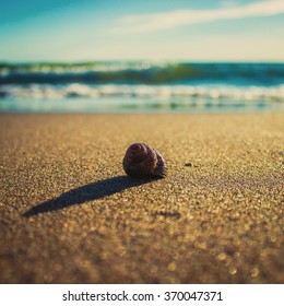Beach types