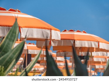 Beach umbrellas, Monterosso al Mare, Cinque Terre Italy. - Powered by Shutterstock