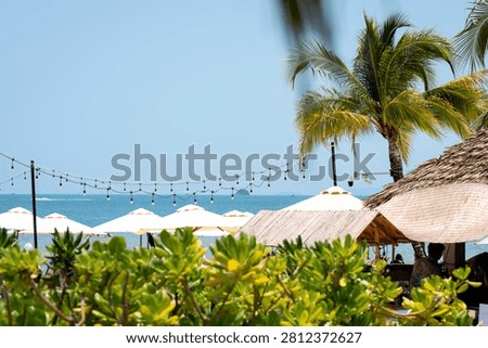 Beach umbrellas and palm trees framing bright turquoise Phu Quoc sea with tropical greenery