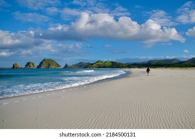 Beach View At Great Barrier Island New Zealand