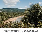 Beach View with ocean and palm trees in Puerto Rico