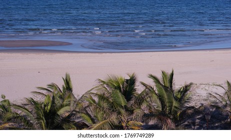 Beach view with palm tree