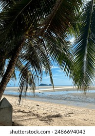Beach view with palm tree