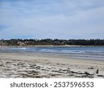 A beach view with the small town of Lockeport, Nova Scotia in view.