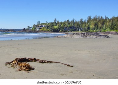 Beach View At Tofino, Pacific Rim National Park, British Columbia