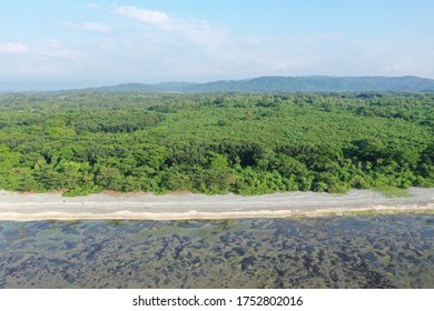 Beach View With Trees In San Juan Philippines