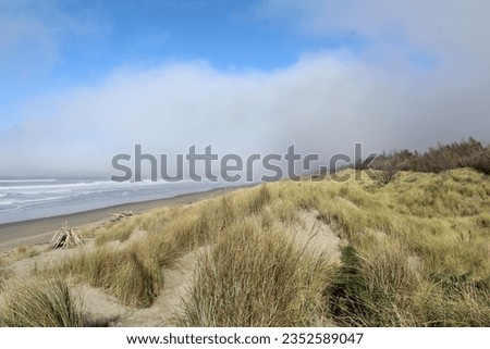 Similar – Image, Stock Photo Sand between the toes