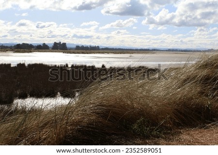 Similar – Image, Stock Photo Sand between the toes