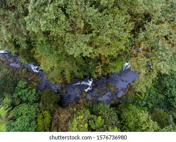 Beach, Waterfall And Jungle In Equatorial Guinea