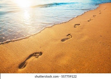 beach, wave and footprints at sunset time - Shutterstock ID 557759122