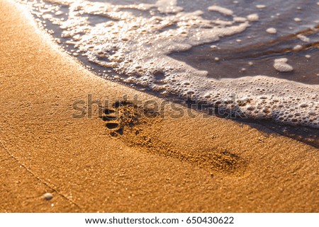 Beach, wave and footsteps at sunset time on the Black Sea