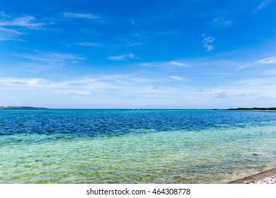 The beach where tropical fish are collected - Shutterstock ID 464308778