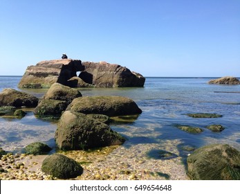Nudist chapel in the wildwood phrase, matchless))) Nudist chapel in the wildwood