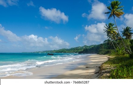 The Beaches Of Samana, Dominican Republic