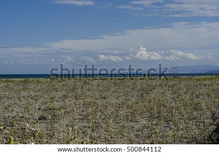 Similar – in Südafrika Naturreservat Teichsee und Busch