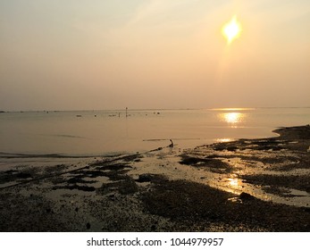 Beaches with shells and rocks at sunset