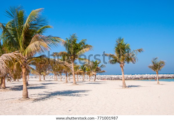 Beaches White Sand Palm Trees Dubai Stock Photo Edit Now