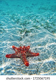 Beaches Of Zanzibar, Seafloor In The Indian Ocean        