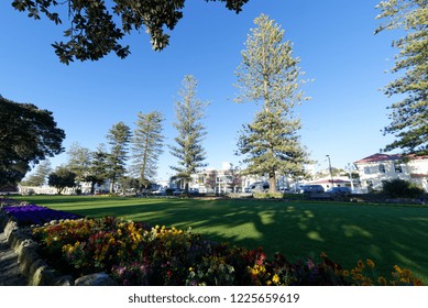 Beachfront Domain In The Town Of Napier, NZ