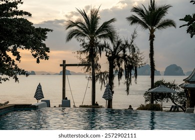 Beachfront infinity pool with palm trees and ocean view at sunset