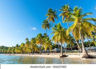 1000 Guadeloupe Beach Stock Images Photos Vectors