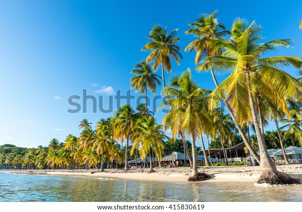 Beachfront Plage De La Caravelle Guadeloupe Stock Photo