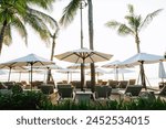 Beachfront with tall palm trees and lounge chairs under white umbrellas at sunset