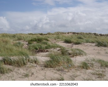 Beachgrass And Dunes On A Cloudy Day