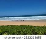 Beachside oceanscape dark blue sky whitecap waves sandy Beach green shrub