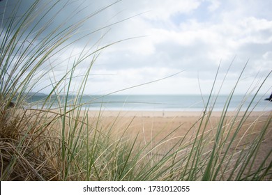 Beachside seascape framed by tall grass and soft focus sandy beach background - Powered by Shutterstock
