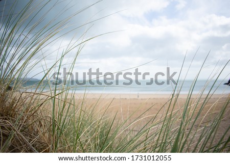 Beachside seascape framed by tall grass and soft focus sandy beach background