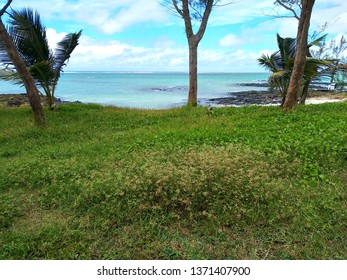 beachview of Mauritius