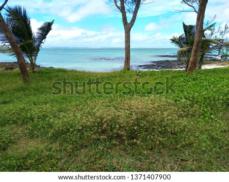 beachview of Mauritius