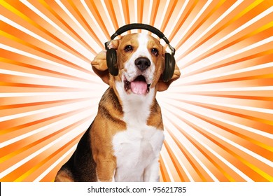 Beagle dog wearing headphones over abstract background.