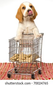 Beagle puppy pushing shopping cart filled with dog food - Shutterstock ID 70024765