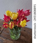 Beaitiful bell shaped tulip flowers bringing sun into your household